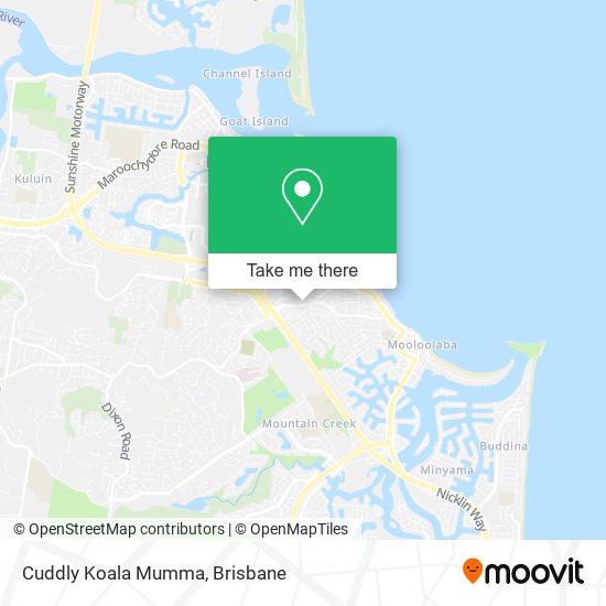 Cuddly Koala Mumma map