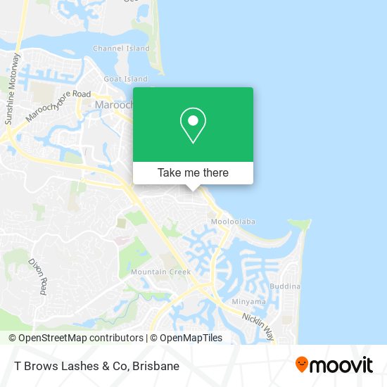 T Brows Lashes & Co map