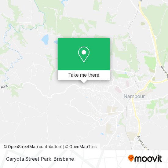 Caryota Street Park map