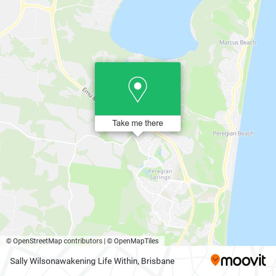 Sally Wilsonawakening Life Within map