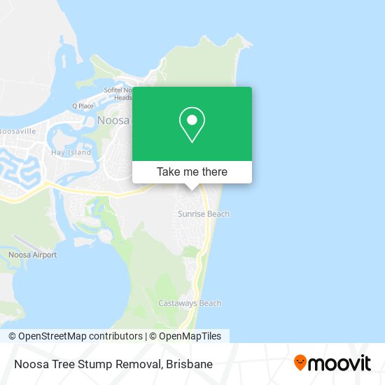 Noosa Tree Stump Removal map