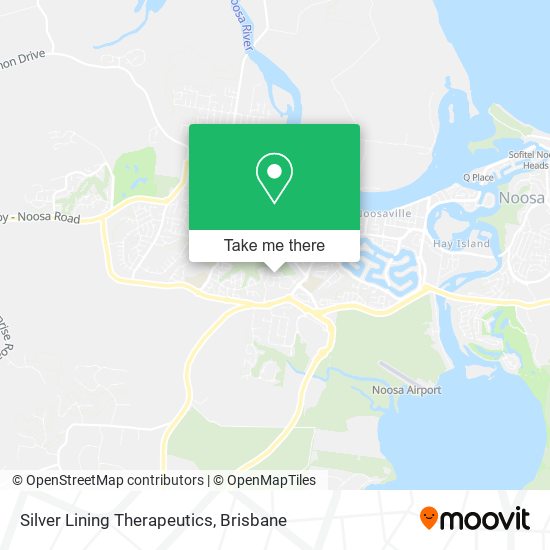 Silver Lining Therapeutics map