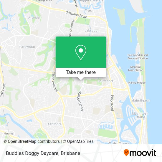 Buddies Doggy Daycare map