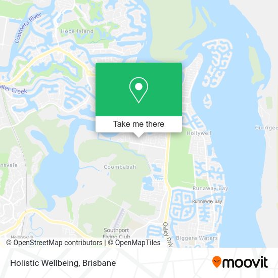 Holistic Wellbeing map