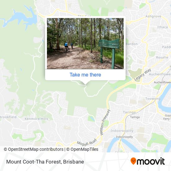 Mount Coot-Tha Forest map
