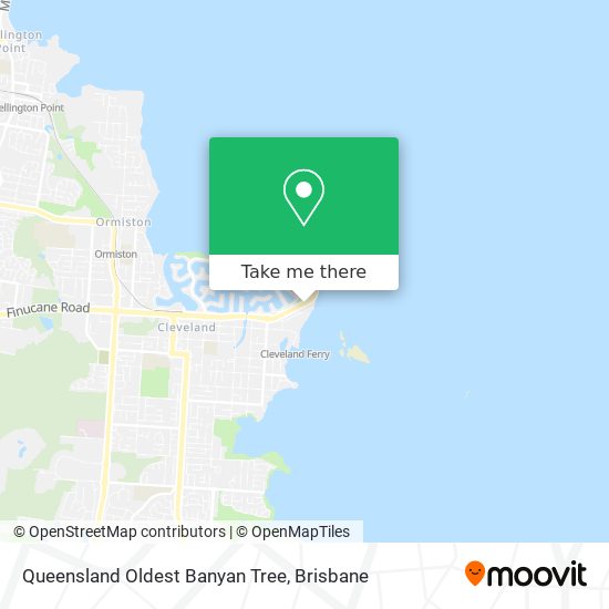 Queensland Oldest Banyan Tree map