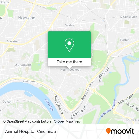 Mapa de Animal Hospital