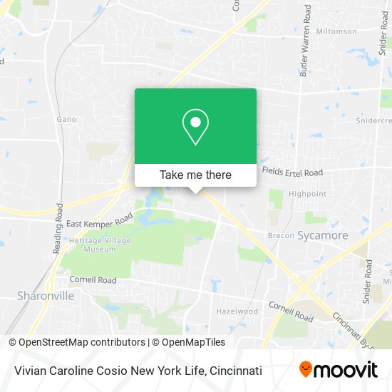 Mapa de Vivian Caroline Cosio New York Life