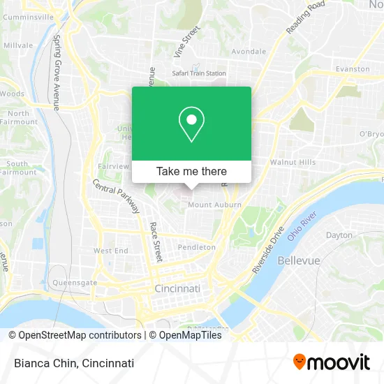 Bianca Chin map
