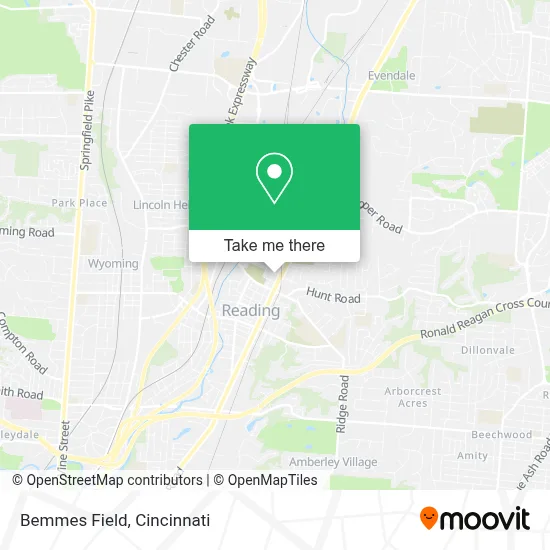 Bemmes Field map
