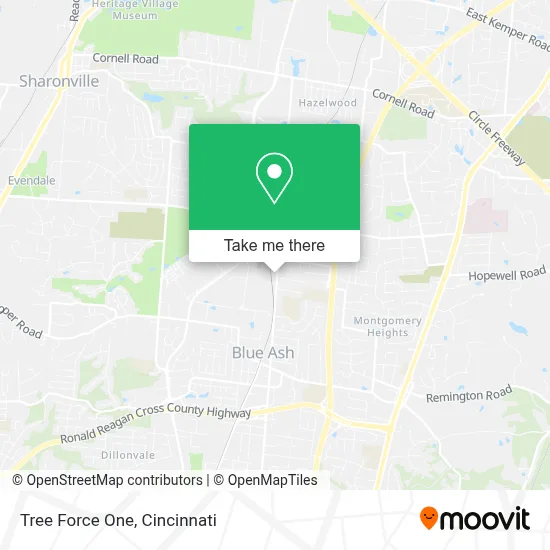 Tree Force One map