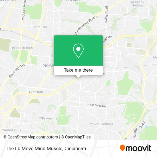 The Lb Move Mind Muscle map