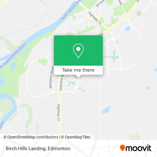 Birch Hills Landing plan