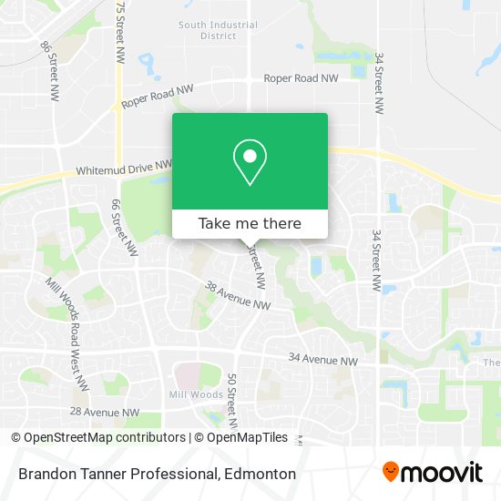 Brandon Tanner Professional plan