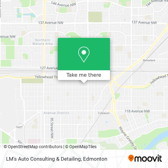 LM's Auto Consulting & Detailing plan