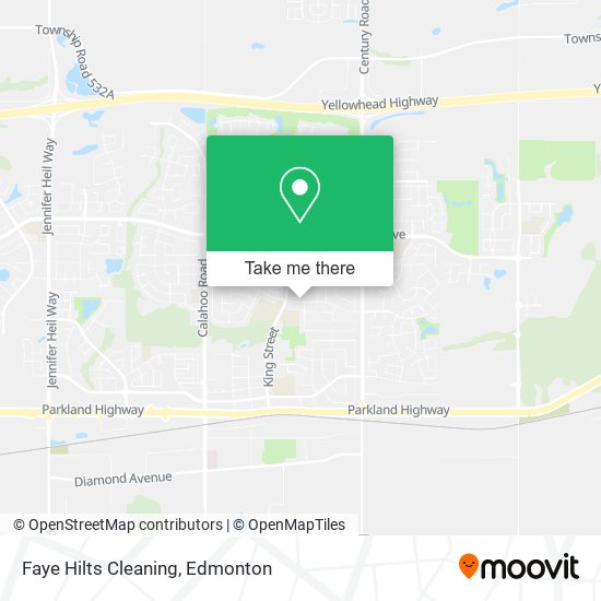 Faye Hilts Cleaning plan