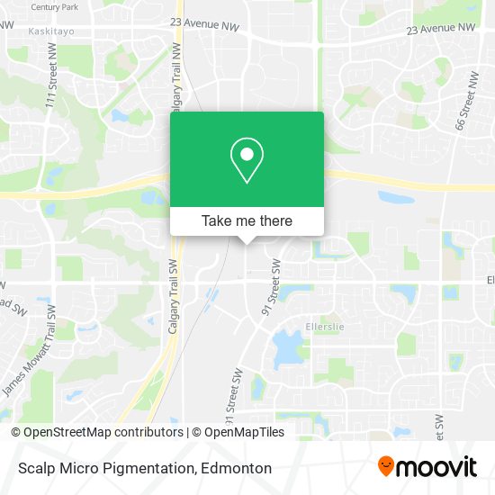 Scalp Micro Pigmentation map