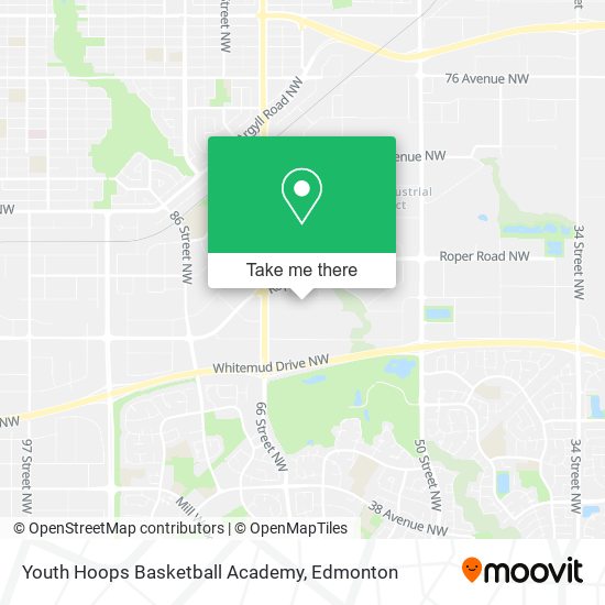 Youth Hoops Basketball Academy plan
