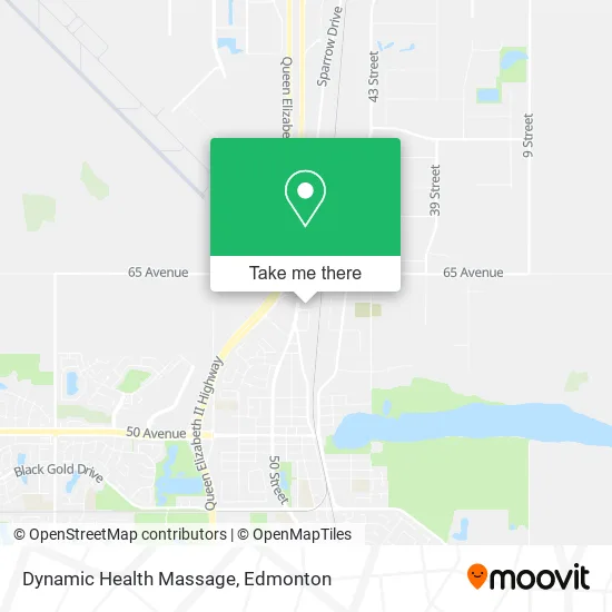Dynamic Health Massage map