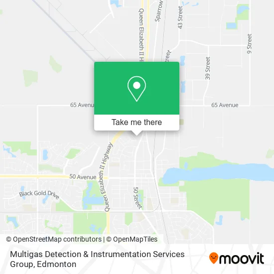 Multigas Detection & Instrumentation Services Group map