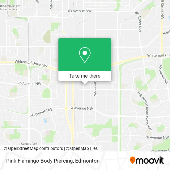 Pink Flamingo Body Piercing map