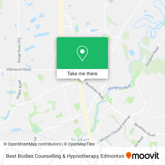 Best Bodies Counselling & Hypnotherapy plan