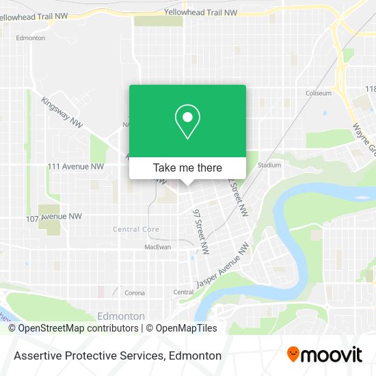 Assertive Protective Services plan
