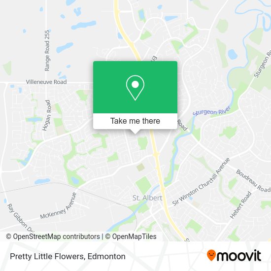 Pretty Little Flowers map