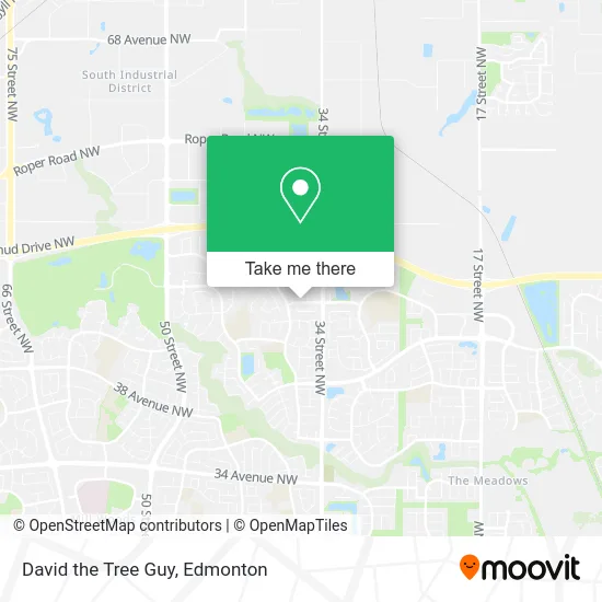 David the Tree Guy map