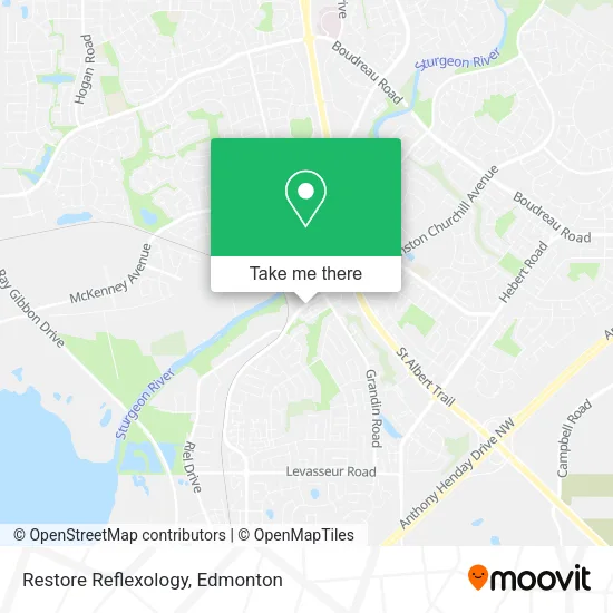 Restore Reflexology map