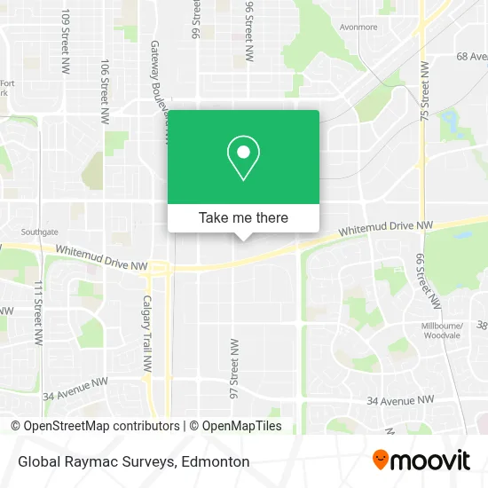 Global Raymac Surveys map