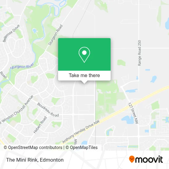 The Mini Rink map