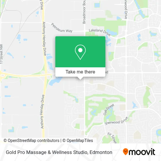 Gold Pro Massage & Wellness Studio map