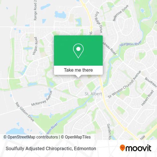 Soulfully Adjusted Chiropractic map