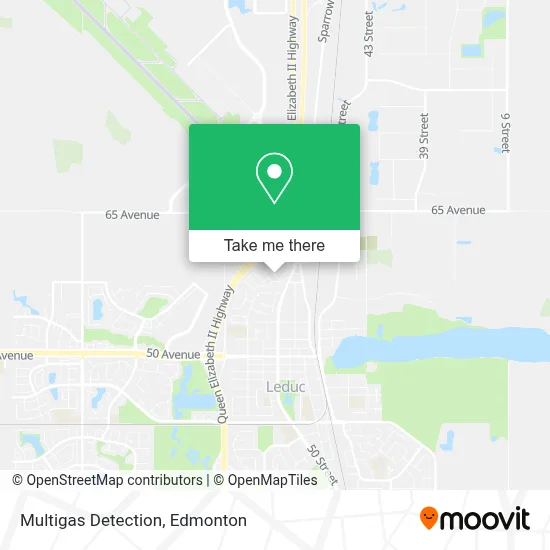 Multigas Detection map