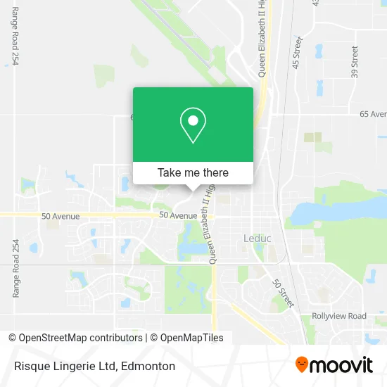 Risque Lingerie Ltd plan