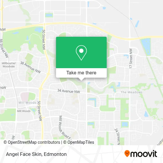 Angel Face Skin map