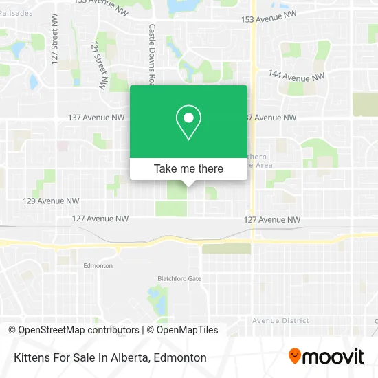 Kittens For Sale In Alberta map