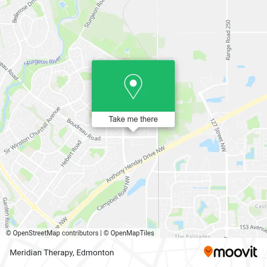 Meridian Therapy map