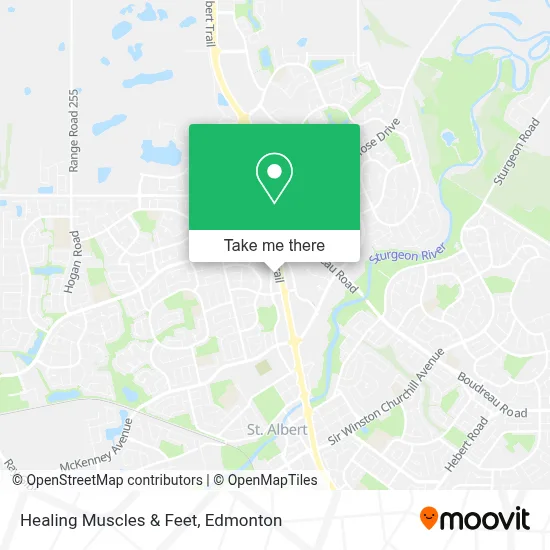 Healing Muscles & Feet map