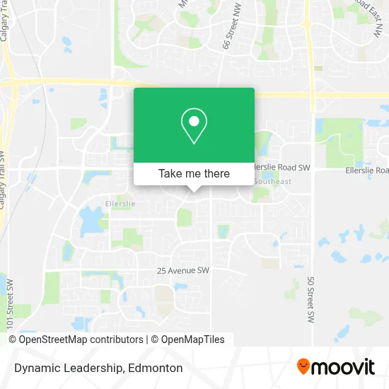 Dynamic Leadership map