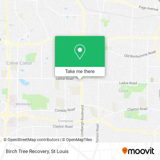 Birch Tree Recovery map