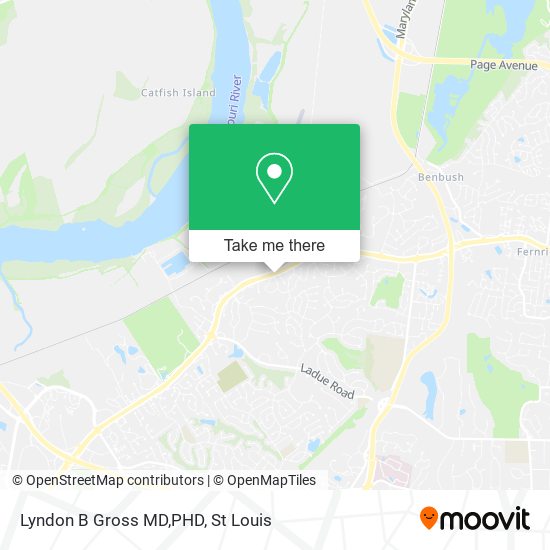 Lyndon B Gross MD,PHD map