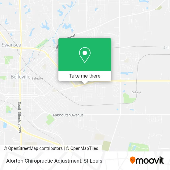 Alorton Chiropractic Adjustment map