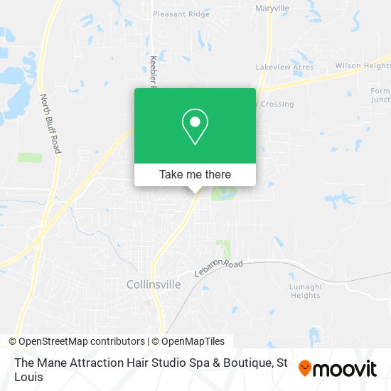 The Mane Attraction Hair Studio Spa & Boutique map