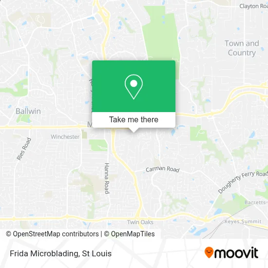 Frida Microblading map