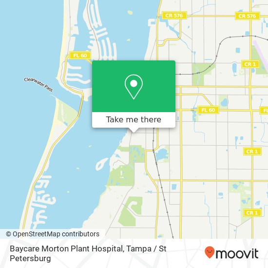 Baycare Morton Plant Hospital map