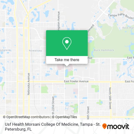 Usf Health Morsani College Of Medicine map