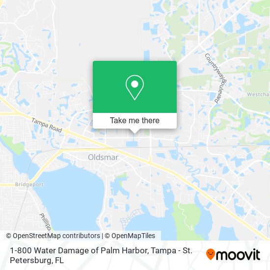 Mapa de 1-800 Water Damage of Palm Harbor