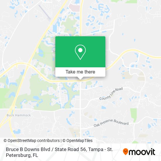 Bruce B Downs Blvd / State Road 56 map